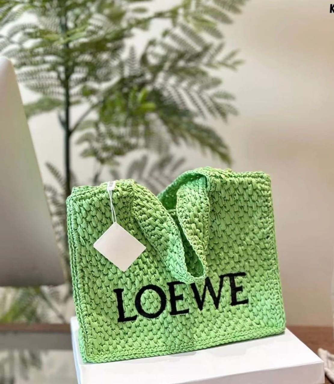Loewe Handbag
