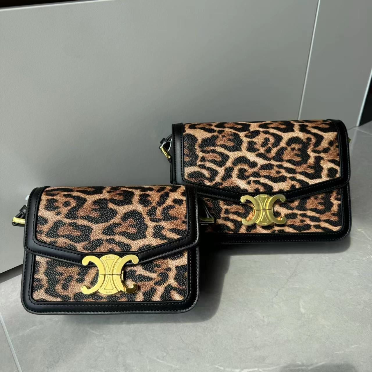 Celine Handbag